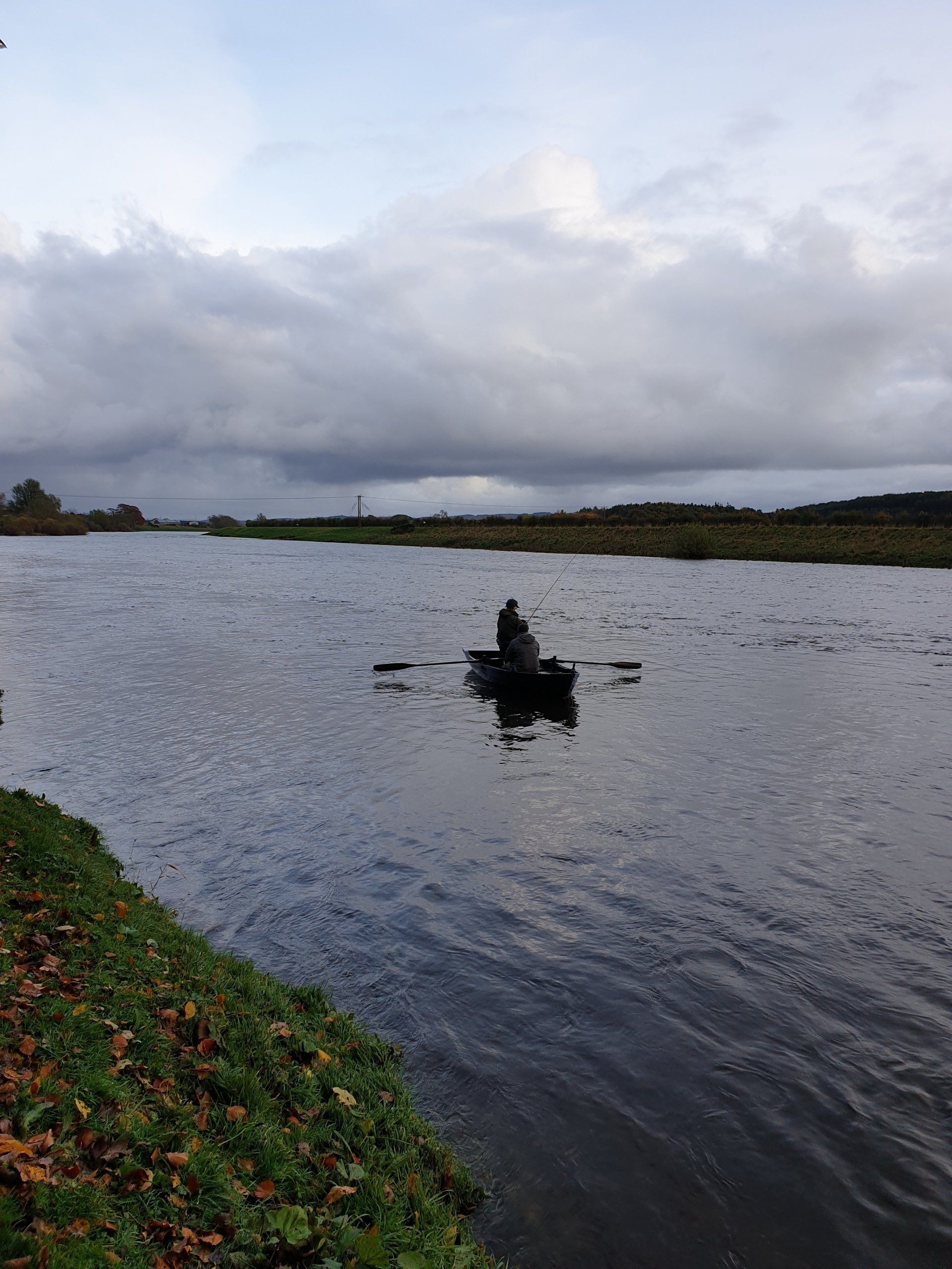 salmon fishing on the river tweed, salmon fishing scotland,