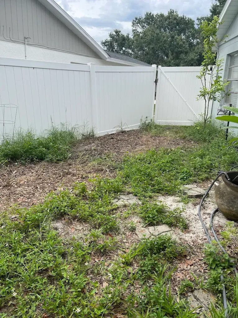Overgrown backyard with white fence, weeds, and mulch.