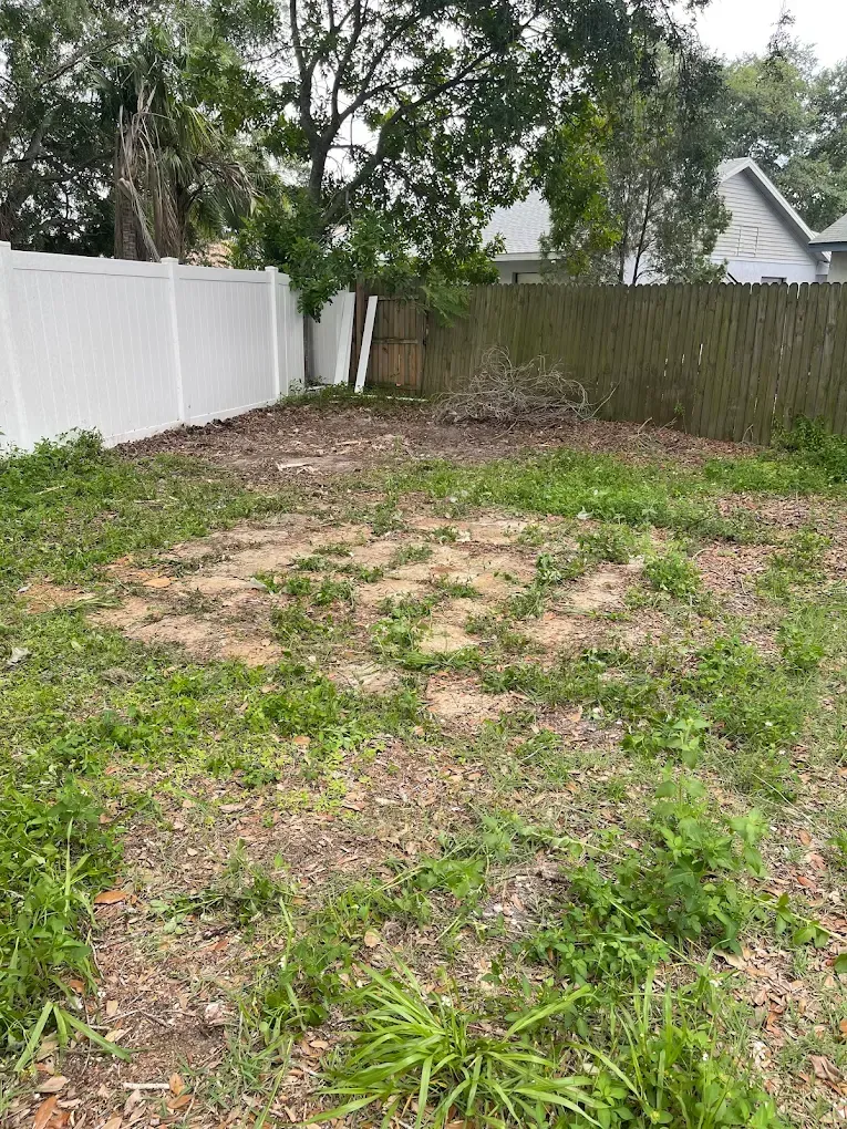 Grassy, mostly empty yard with white and brown fences in the background.