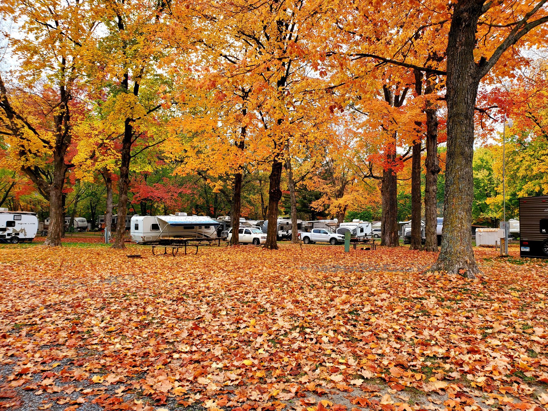 Amenities | Wildwood RV Park and Campground