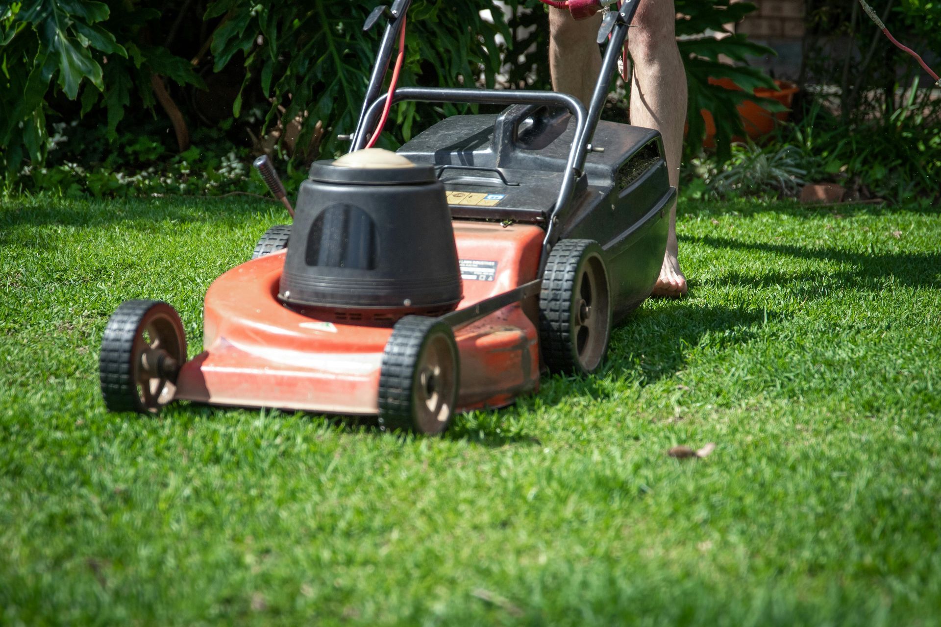 Lawn mower on green grass, being pushed by a person in a backyard.