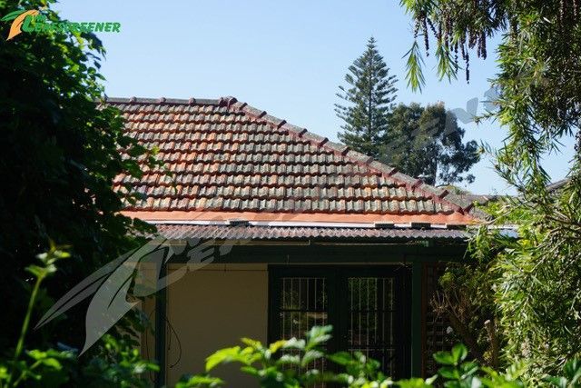 A house with a tiled roof is surrounded by trees and bushes