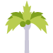 Palm Tree — St. Augustine, FL — Associated Treemasters