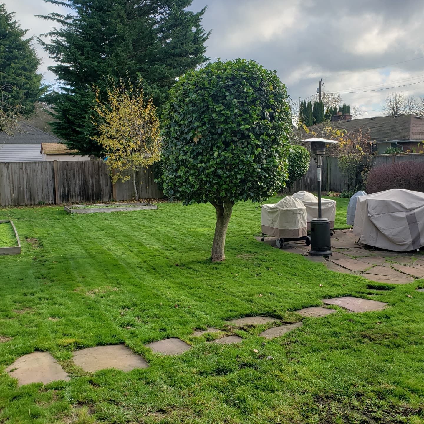 Green backyard with a trimmed tree, stepping stones, lawn chairs under covers, and a patio heater. Green backyard with a trimmed tree, stepping stones, lawn chairs under covers, and a patio heater.