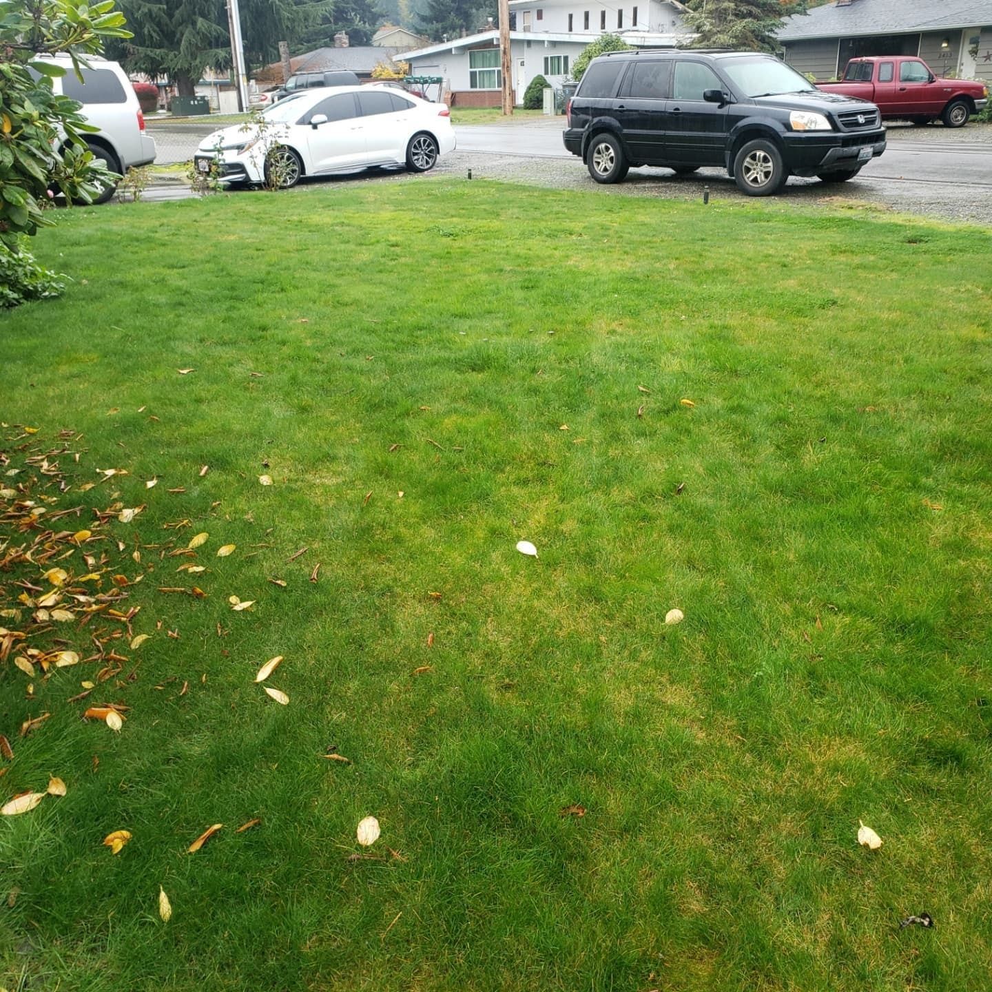 Clean Finish After Service