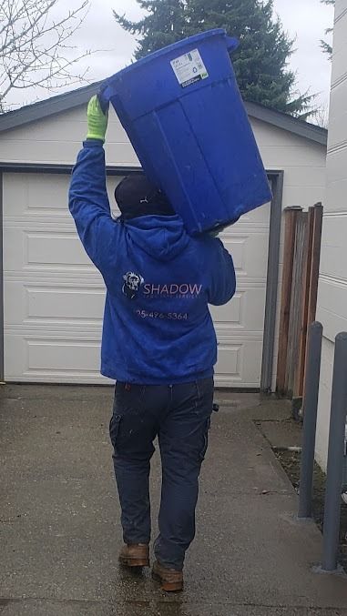 Person carrying a large blue recycling bin on their shoulder, walking down a driveway.