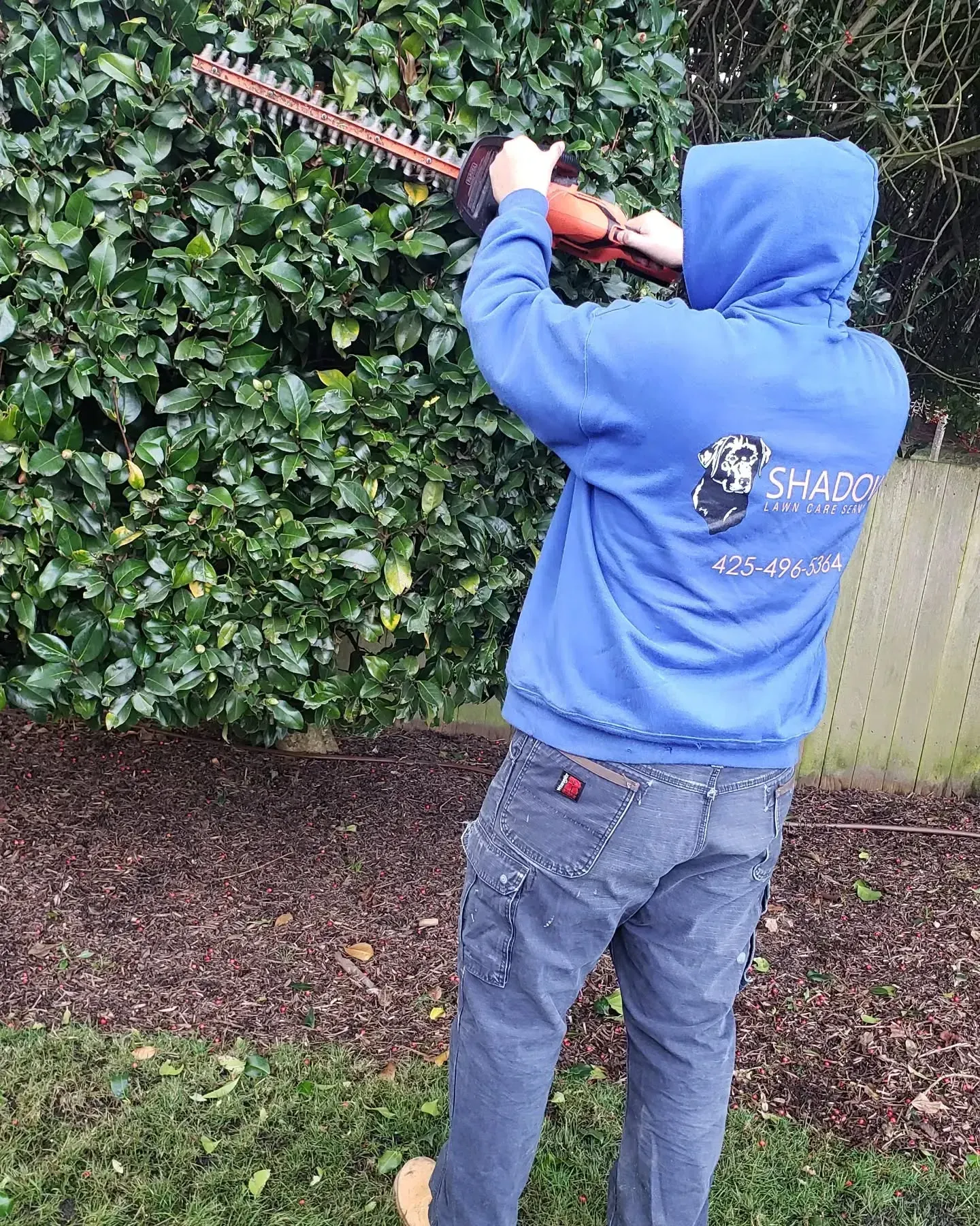 Hedge Trimming Services