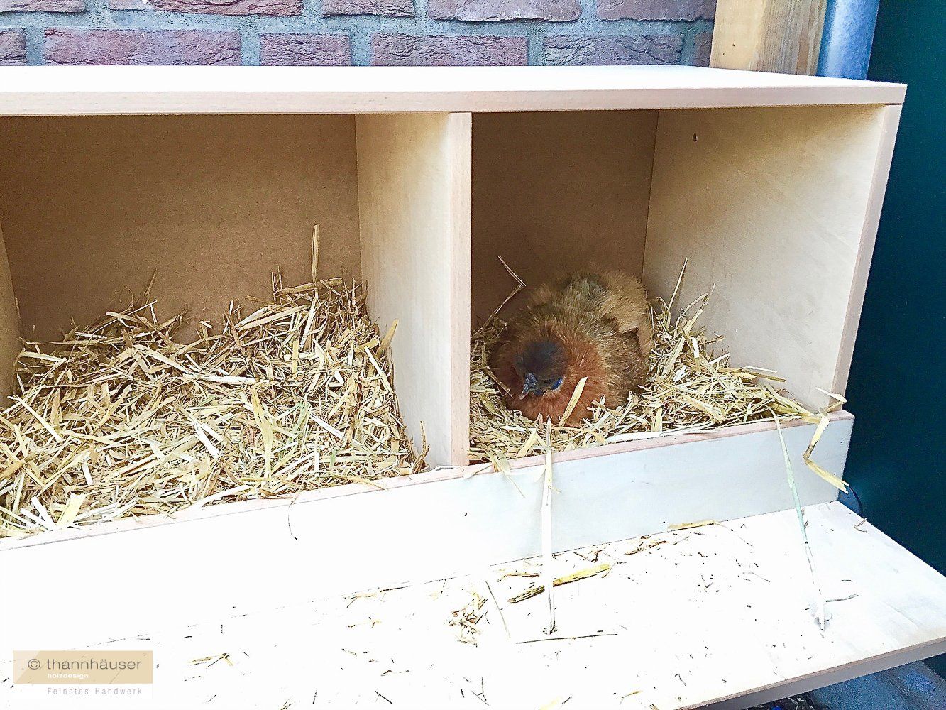 Dein Tischlermeister in Krefeld, Duisburg, Düsseldorf & Umgebung