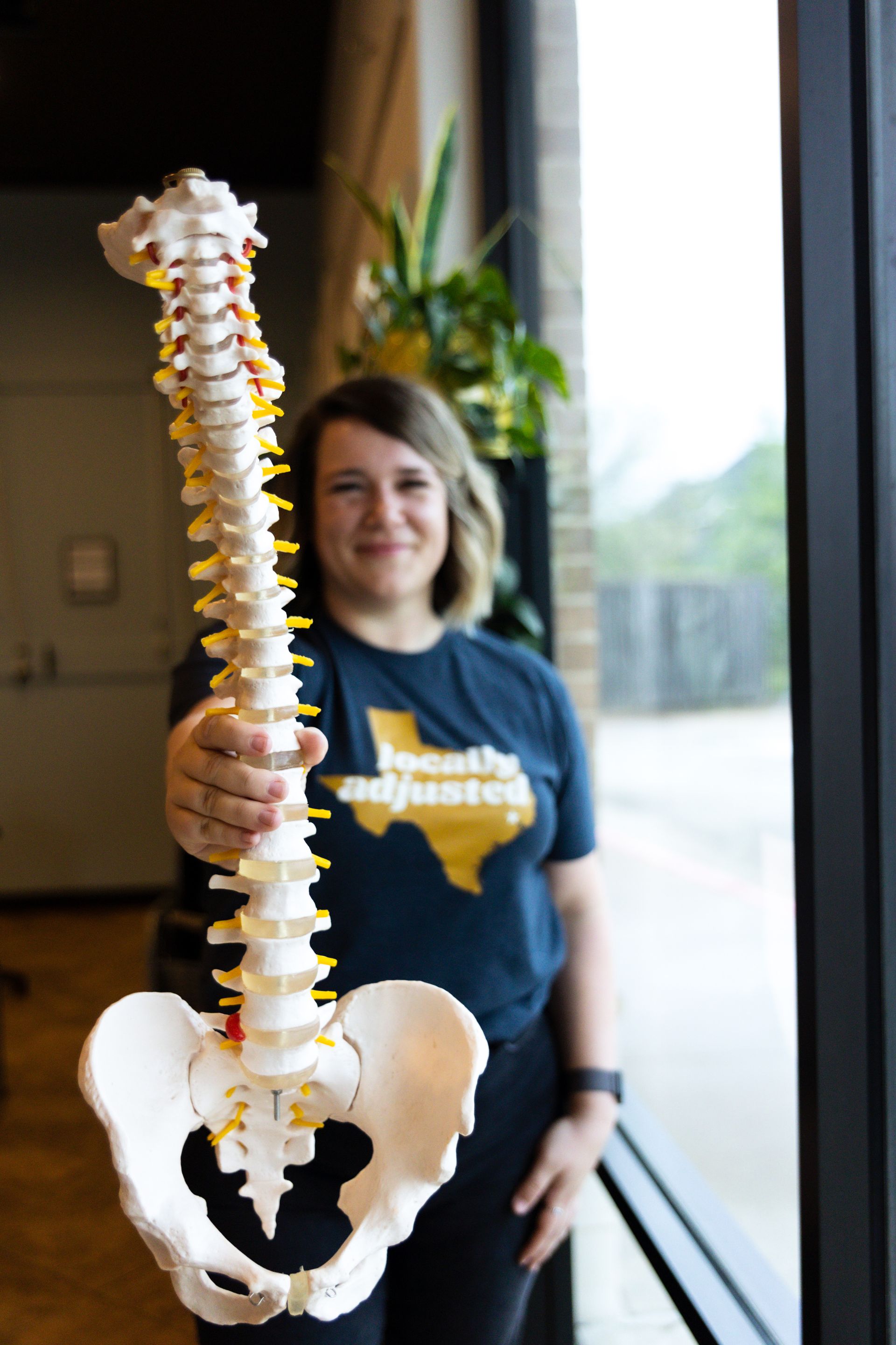 Model of Spine — Houston, TX — Discover Chiropractic & Wellness