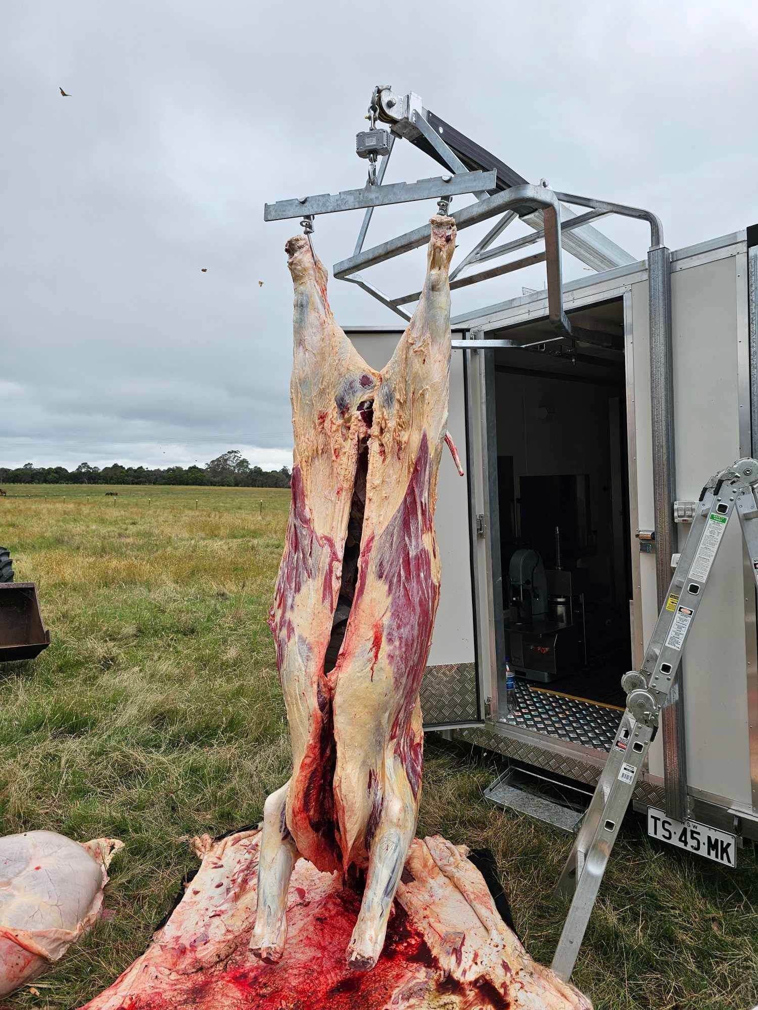 Freezer portable coolrooms