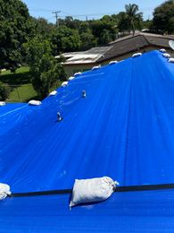 Mold growth on a white wall above a wooden baseboard. Black and grey mold patches.