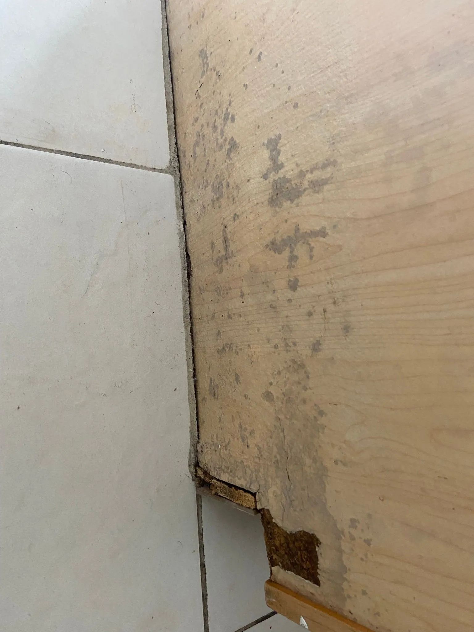 Damaged wooden furniture against white tiled floor, showing water damage and mold.