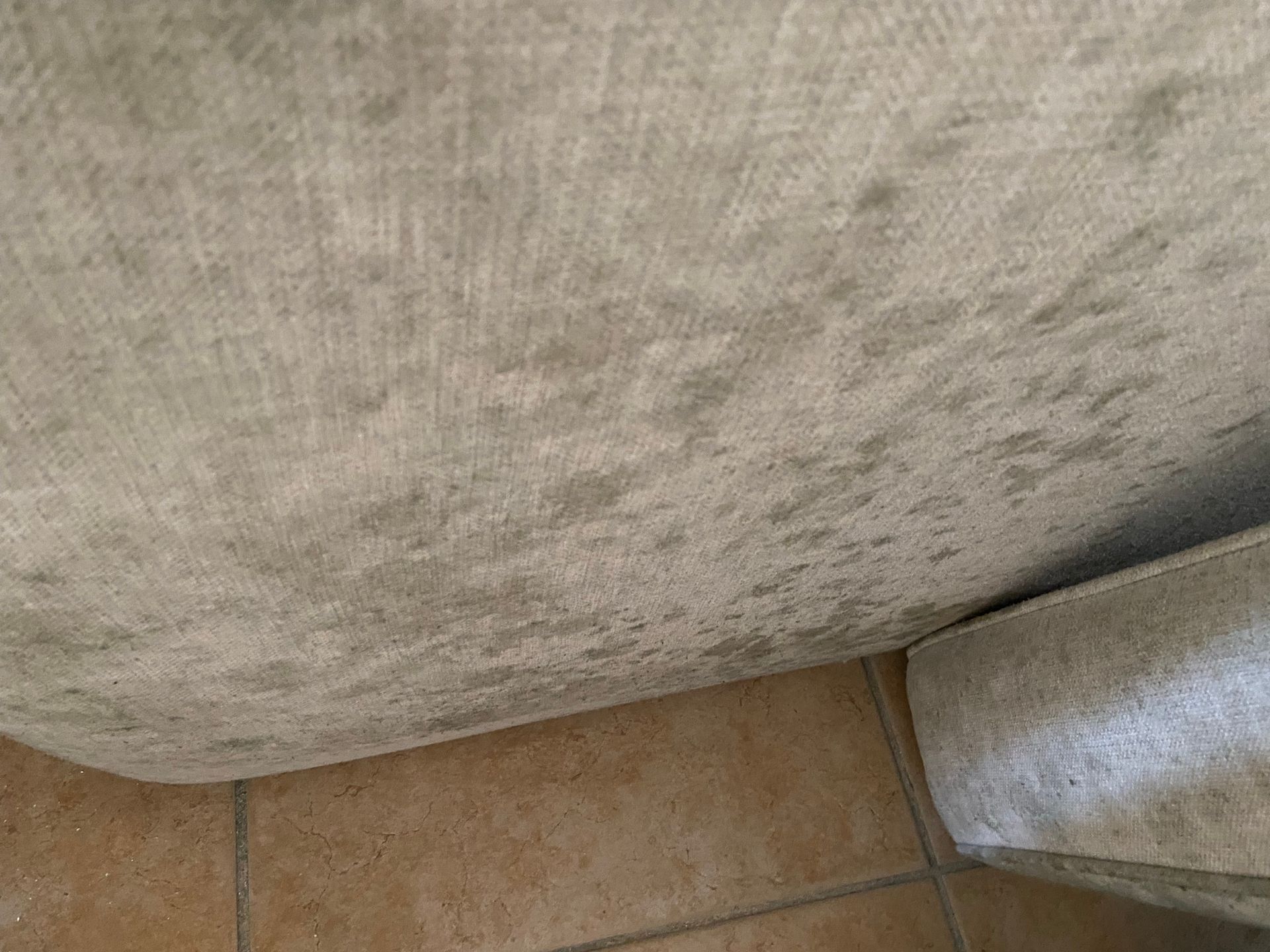 Person in blue glove spraying ceiling mold with a green spray bottle.