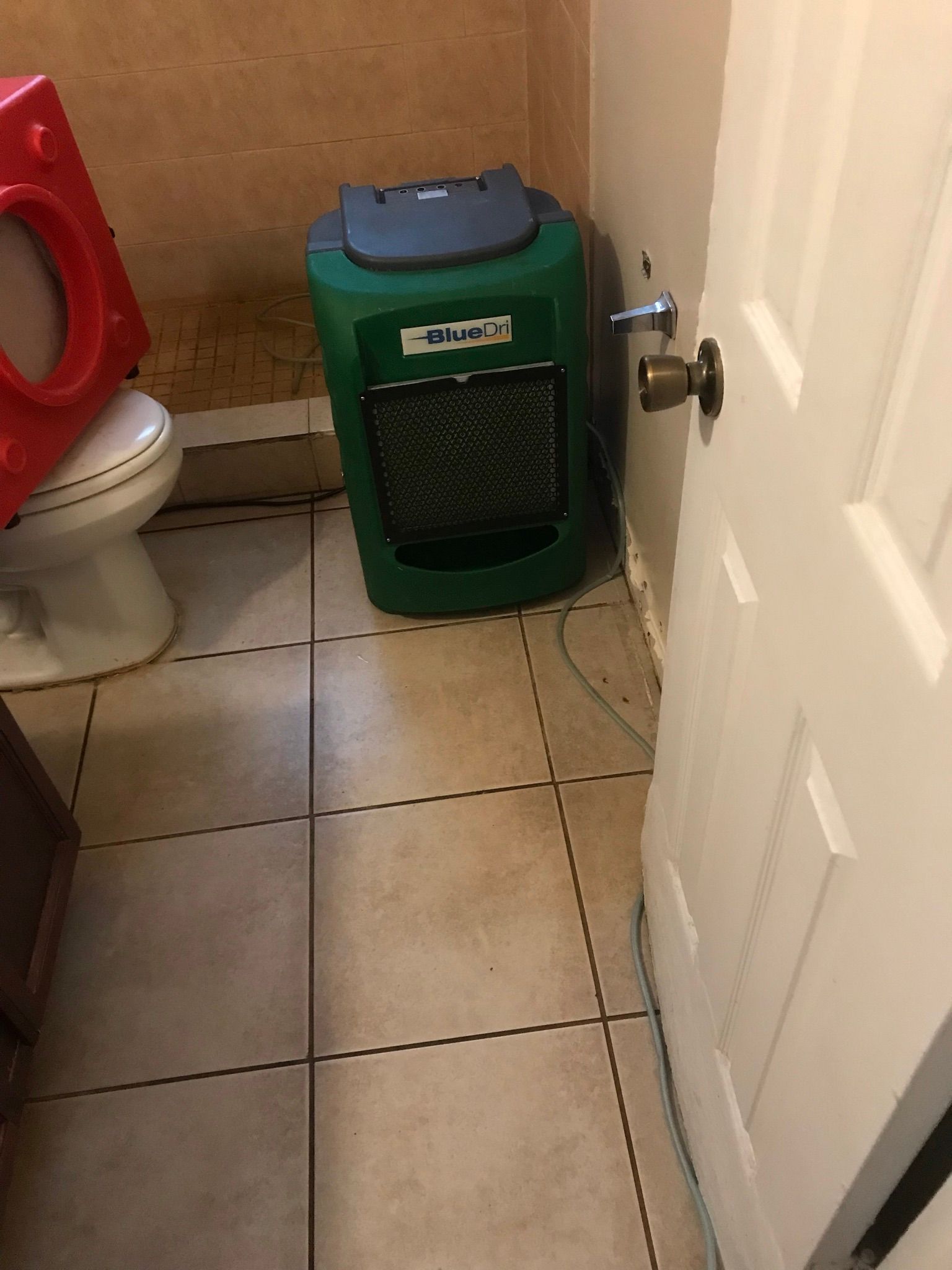 Person in hazmat suit sprays mold on a wall in a room.