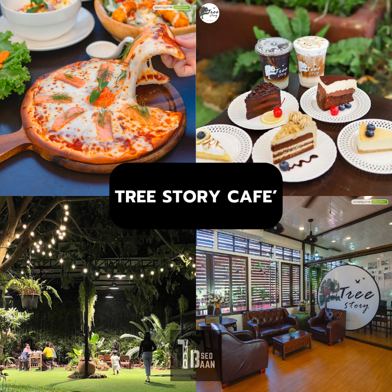 TREE STORY CAFE’