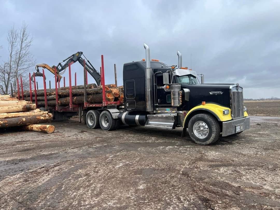 Un semi-remorque transporte des grumes dans un champ.