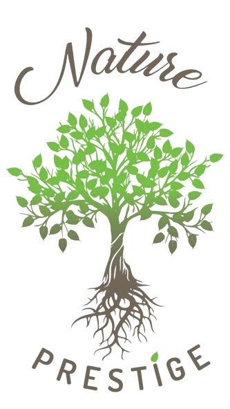Le logo de nature prestige représente un arbre avec des racines et des feuilles.