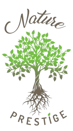 Le logo de nature prestige représente un arbre avec des racines et des feuilles.