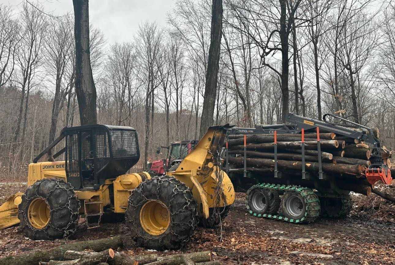 Un bulldozer tire une remorque remplie de rondins dans les bois.