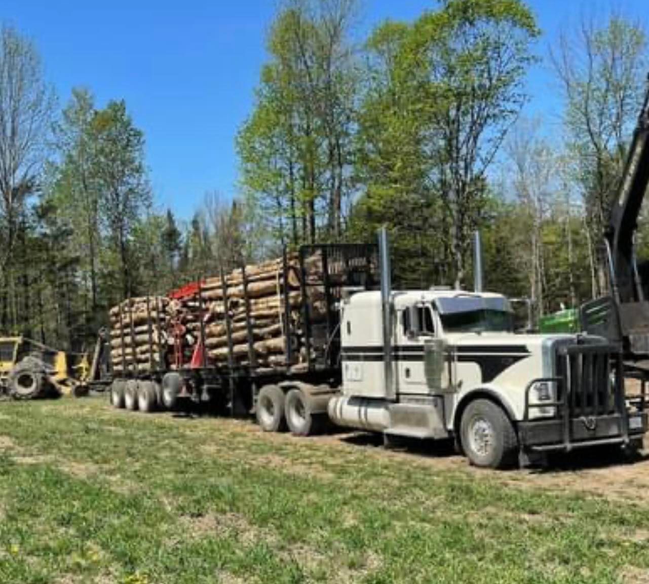 Un semi-remorque transporte des grumes dans un champ.