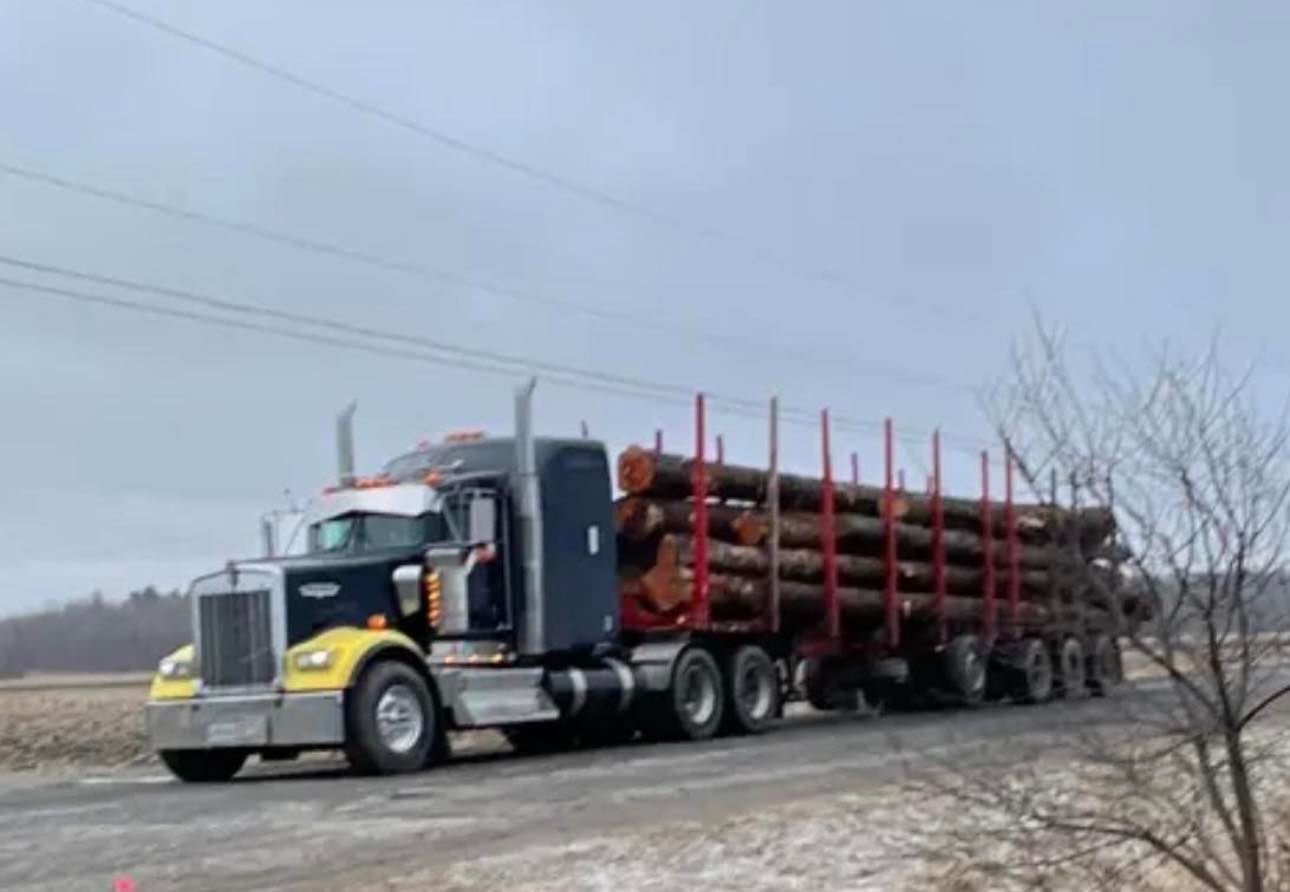 Un semi-remorque transporte des grumes sur une route.