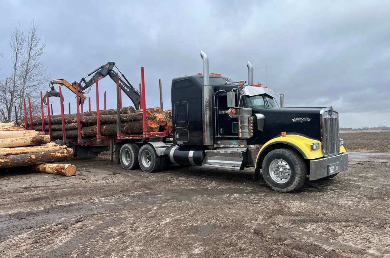 Un semi-remorque transporte des grumes dans un champ.