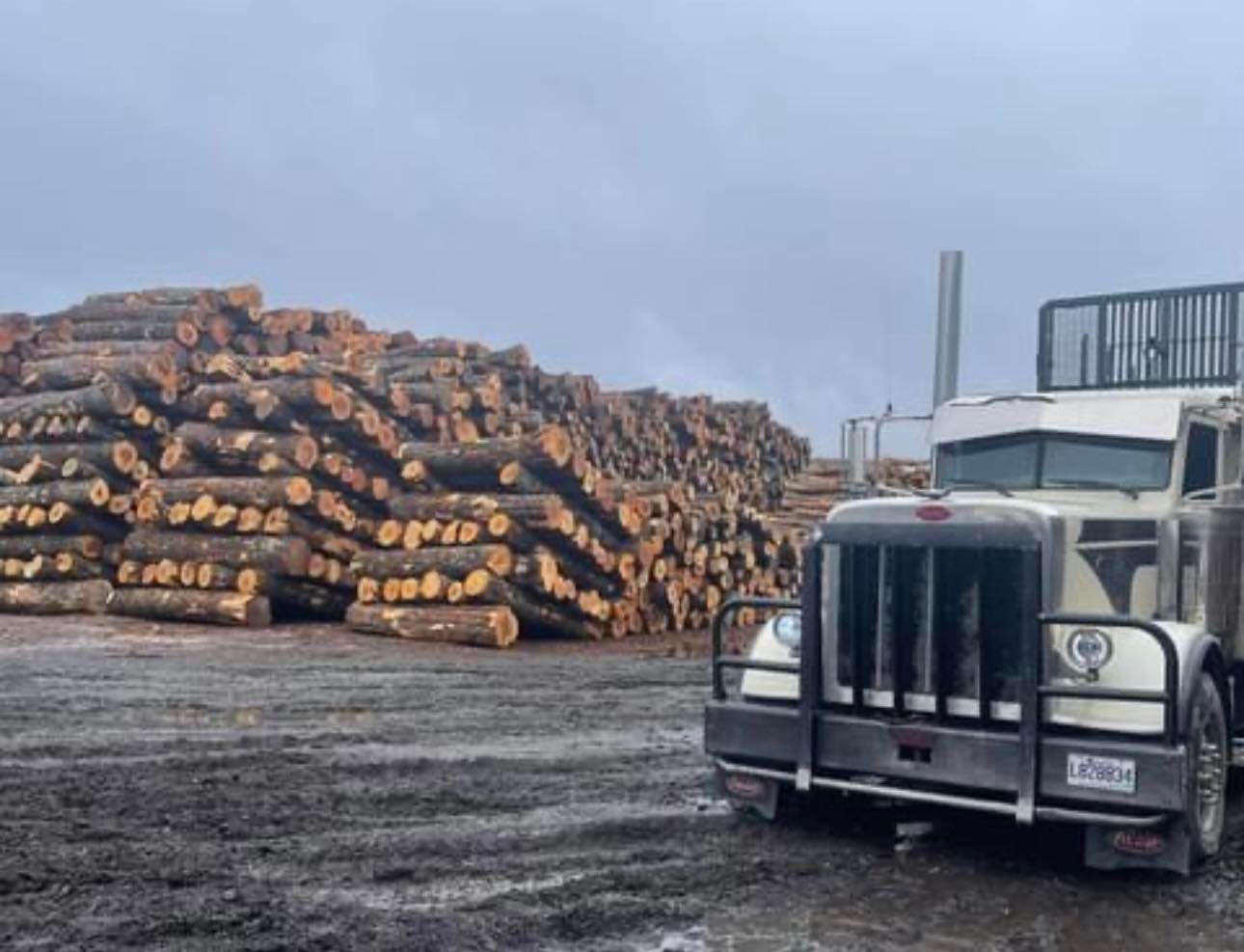 Un camion est garé devant un tas de rondins.