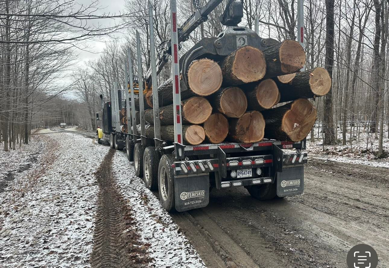 Un gros camion à grumes roule sur une route enneigée.