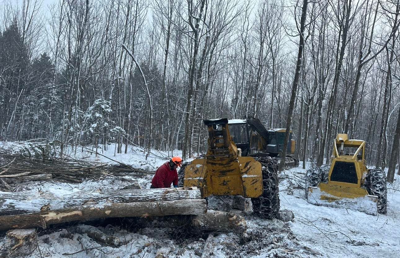 Un homme se tient à côté d'un bulldozer dans une forêt enneigée.