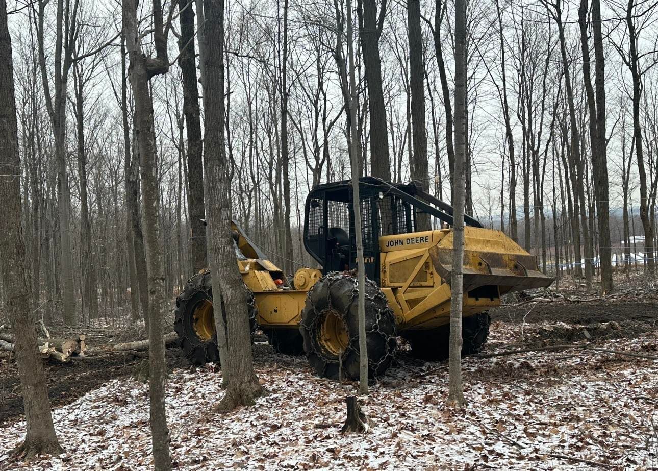 Un tracteur jaune coupe des arbres dans les bois.