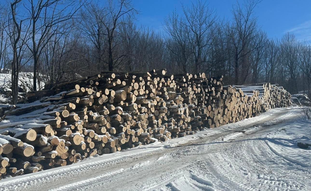 Une pile de bûches est posée sur le bord d'une route enneigée.