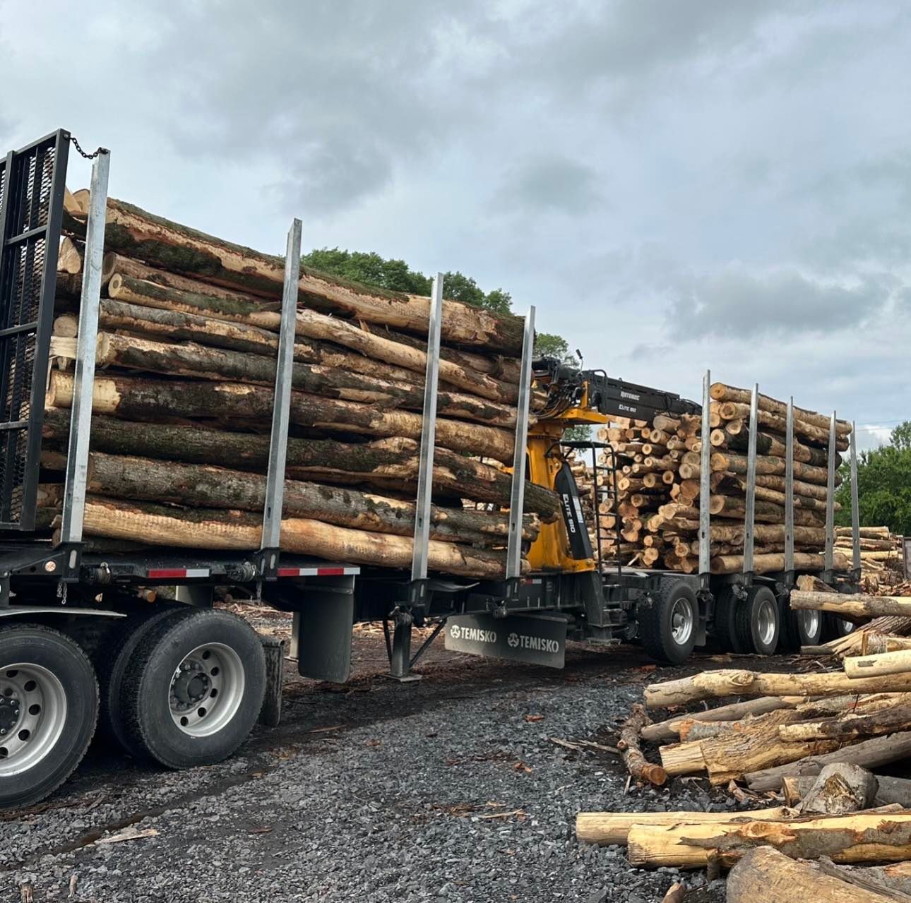 Un camion rempli de rondins est garé à côté d'un tas de rondins.