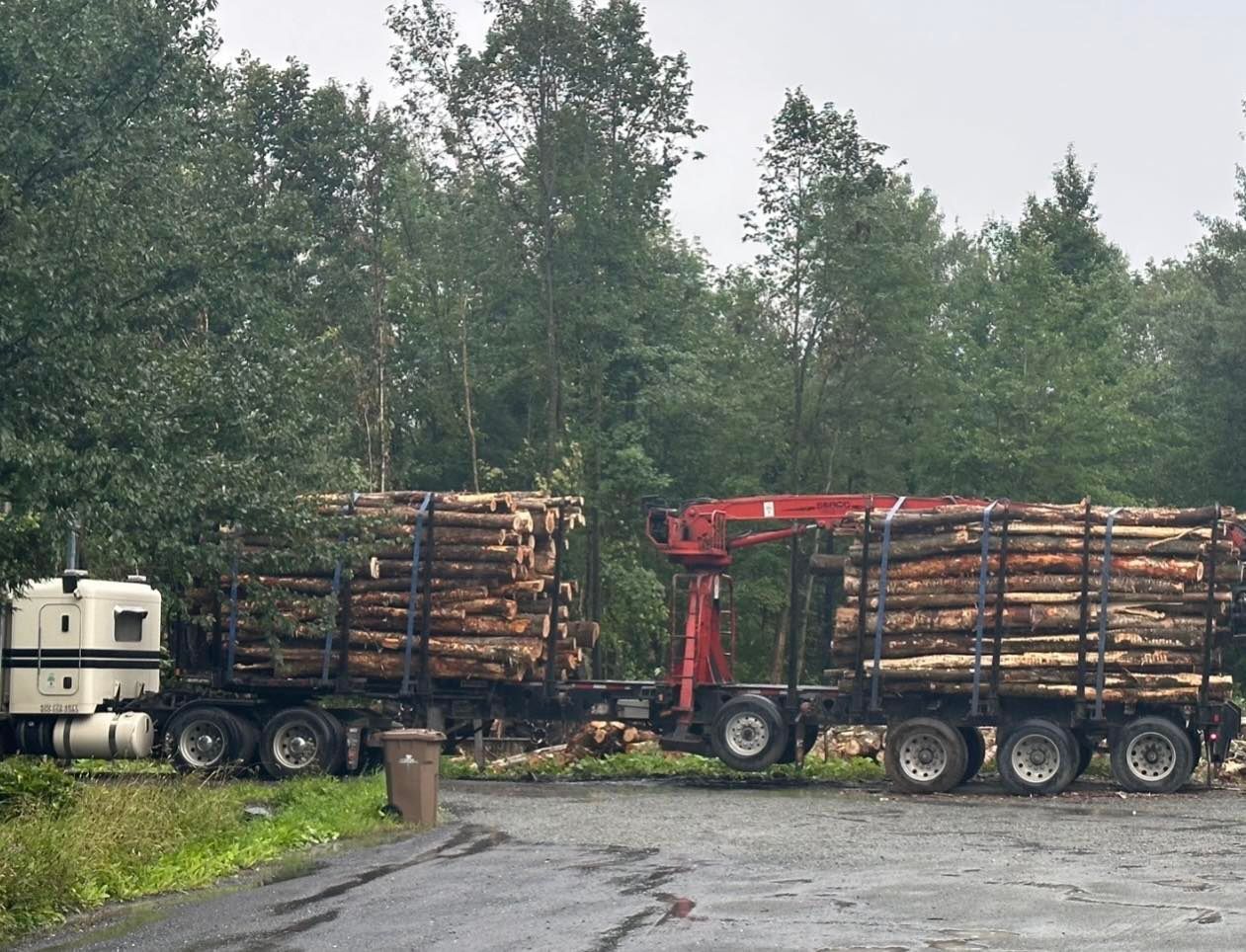 Une grue rouge transporte des grumes sur une remorque