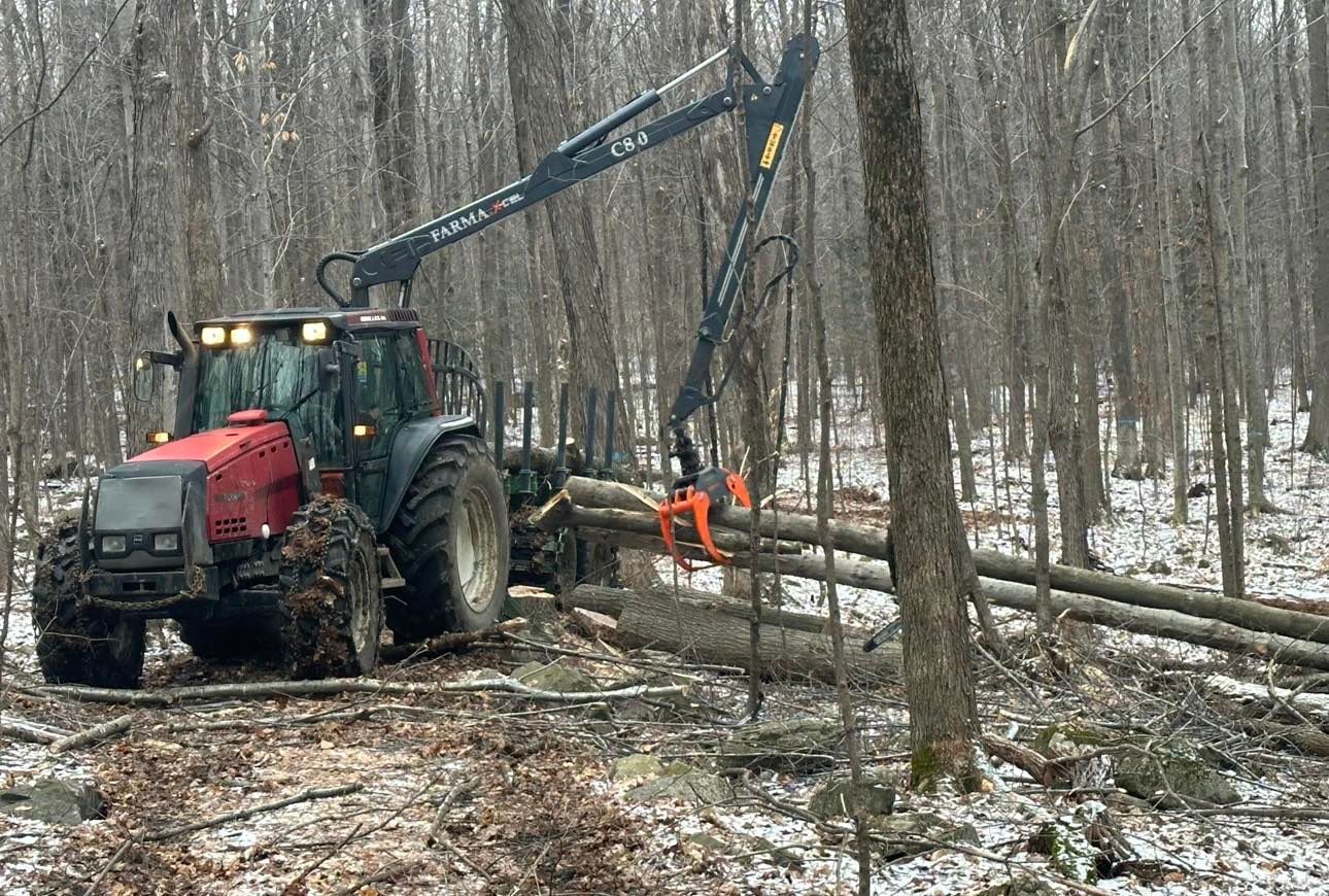 Un tracteur coupe des arbres dans les bois avec une grue attachée.