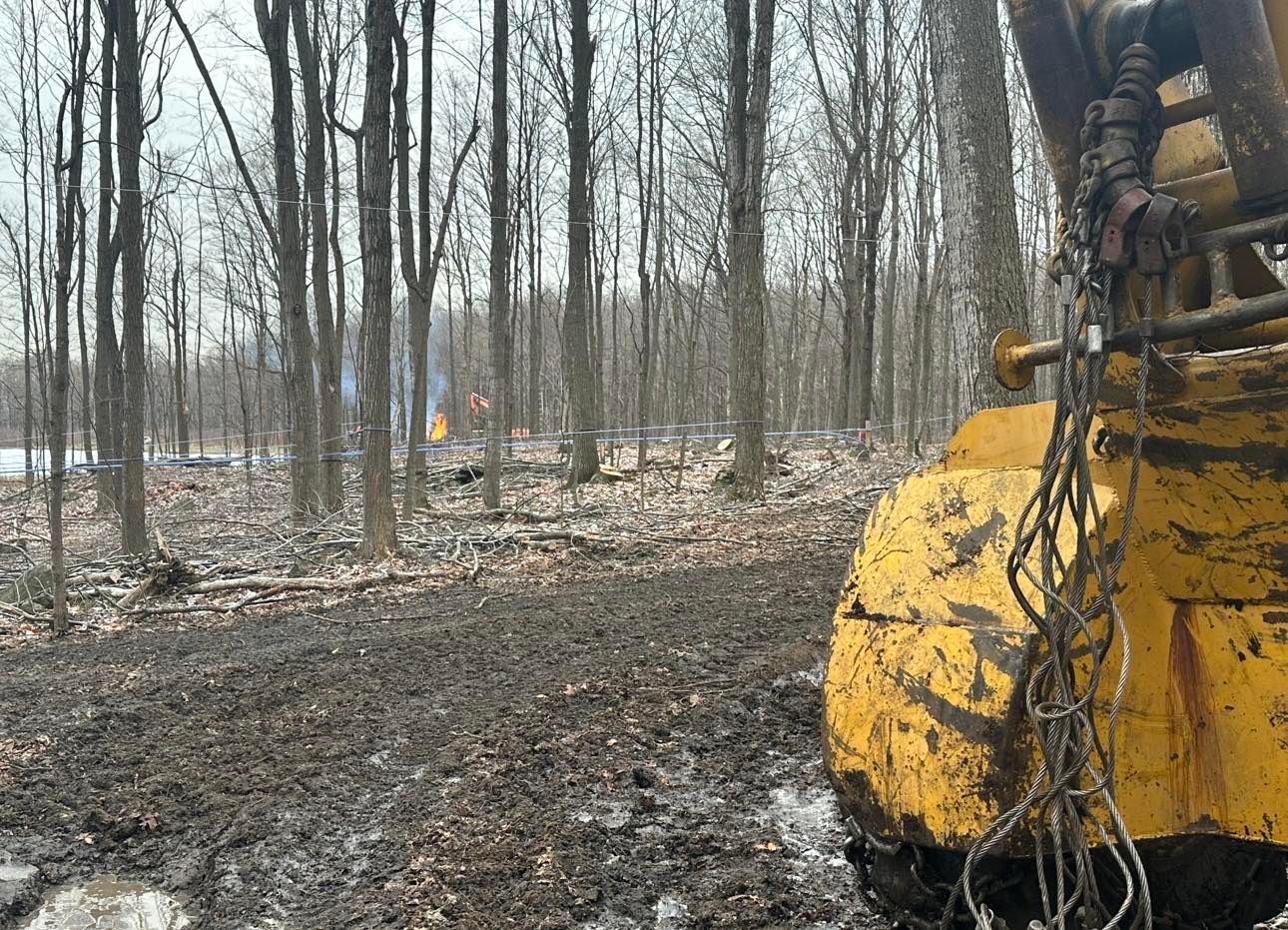 Un tracteur jaune traverse une forêt boueuse.