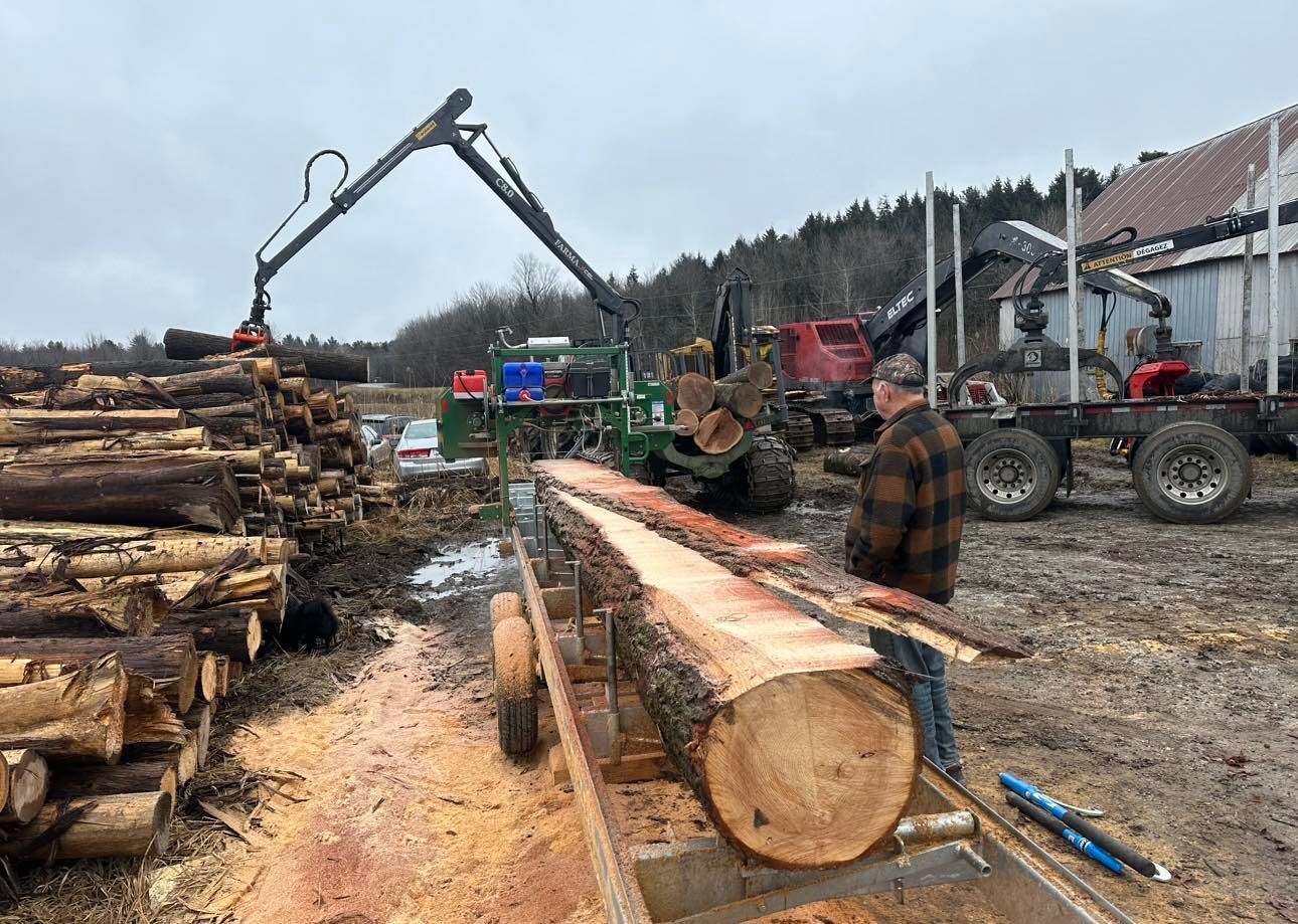 Un homme se tient à côté d'une grosse bûche coupée par une machine.