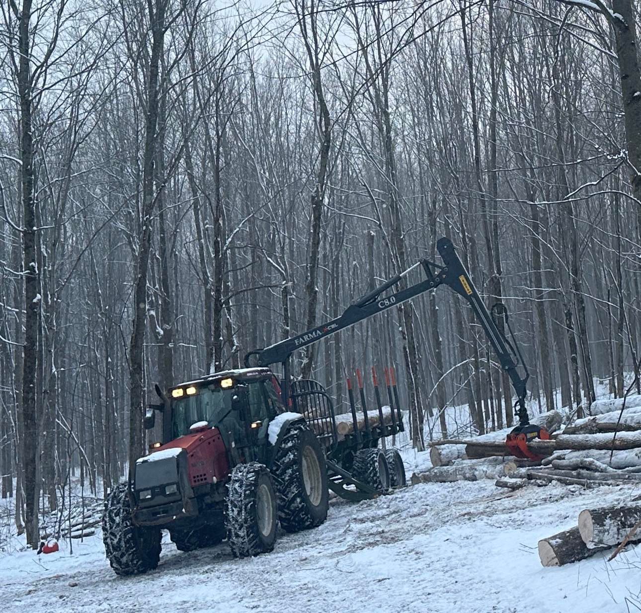 Un tracteur transporte des grumes à travers une forêt enneigée.