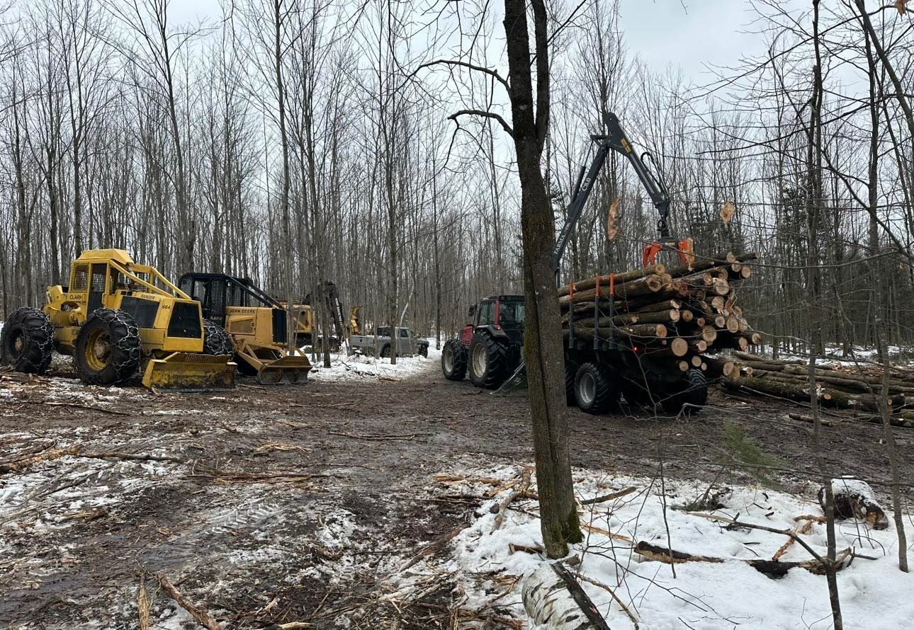 Un tracteur transporte des grumes dans une forêt enneigée.
