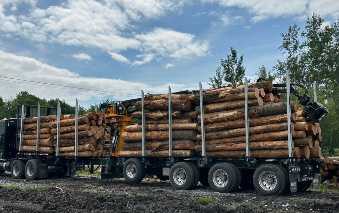 Un camion rempli de rondins est garé dans un champ de terre.