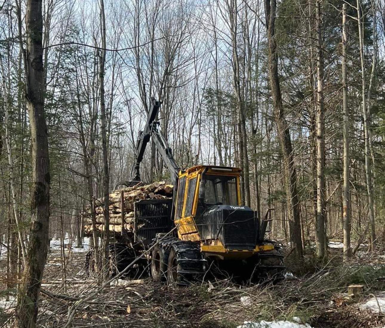 Un tracteur jaune transporte des grumes à travers une forêt.