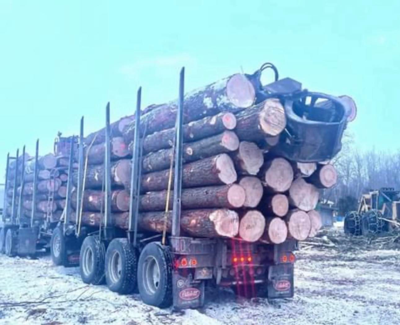 Un gros camion rempli de bûches est garé dans la neige