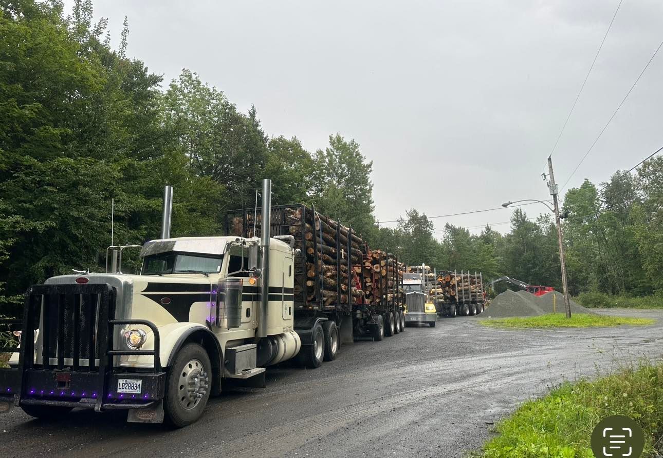 Une rangée de semi-remorques roule sur un chemin de terre.