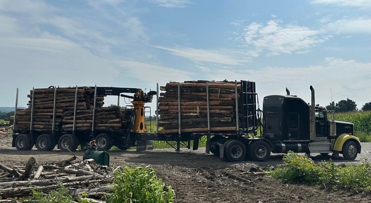 Un camion transporte des grumes sur une remorque dans un champ.