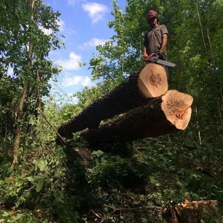 Un homme est debout sur un tas de bûches tenant une tronçonneuse