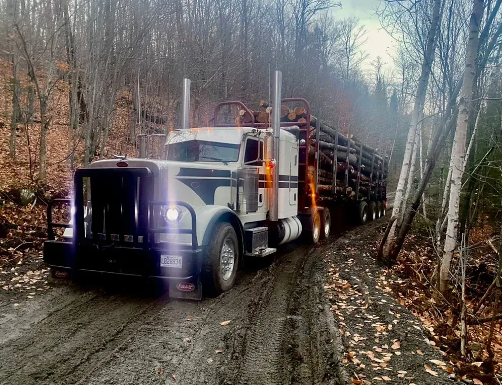 Un camion roule sur un chemin de terre dans les bois