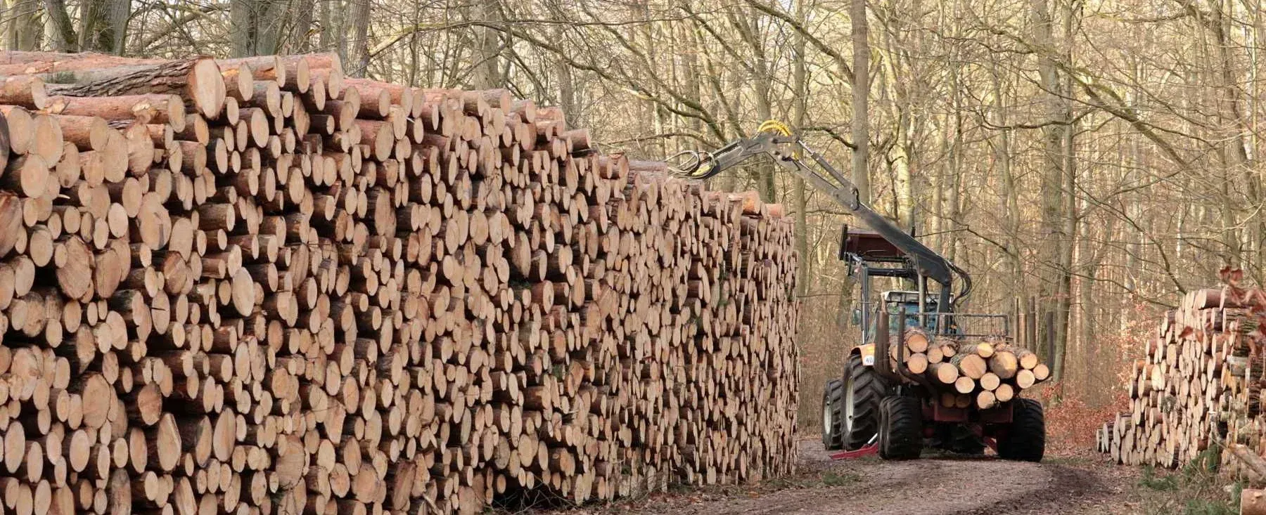 Un tracteur roule sur un chemin de terre à côté d'un tas de bûches.