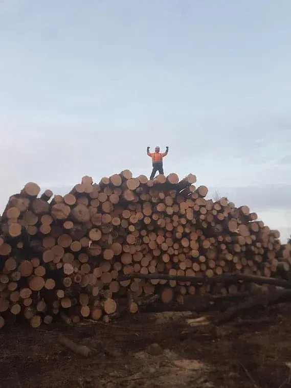 Un homme se tient au sommet d'un tas de bûches.