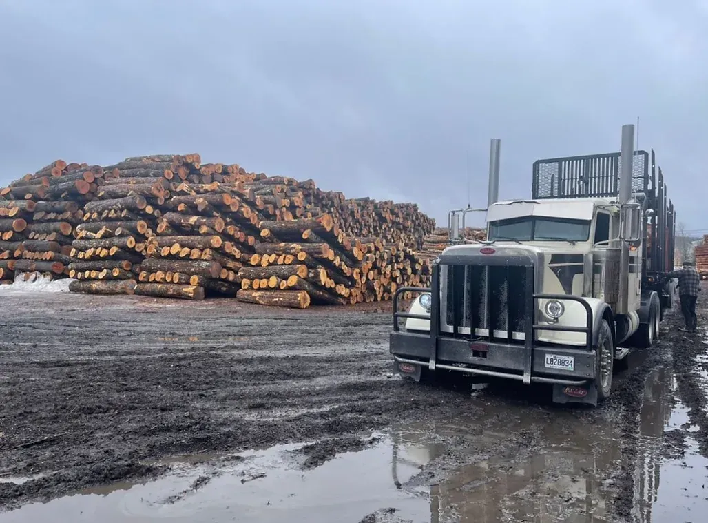 Un camion est garé dans un champ boueux à côté d'un tas de bûches.