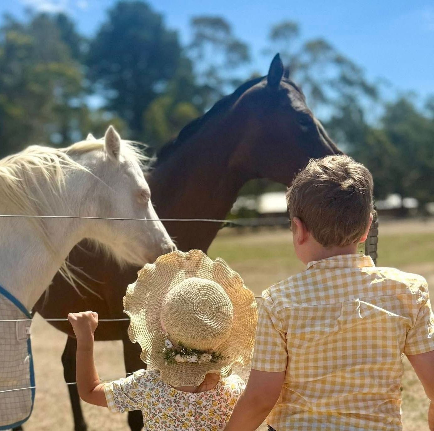 A boy and a girl are looking at two horses behind a fence