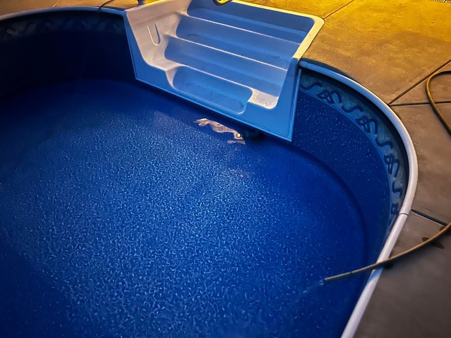 A blue-lined above-ground swimming pool with white steps and a water hose resting on the pool deck.